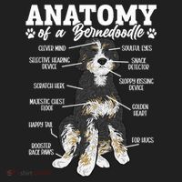 Bernedoodle Dog Anatomy Of A Bernedoodle Beanie thumb 2