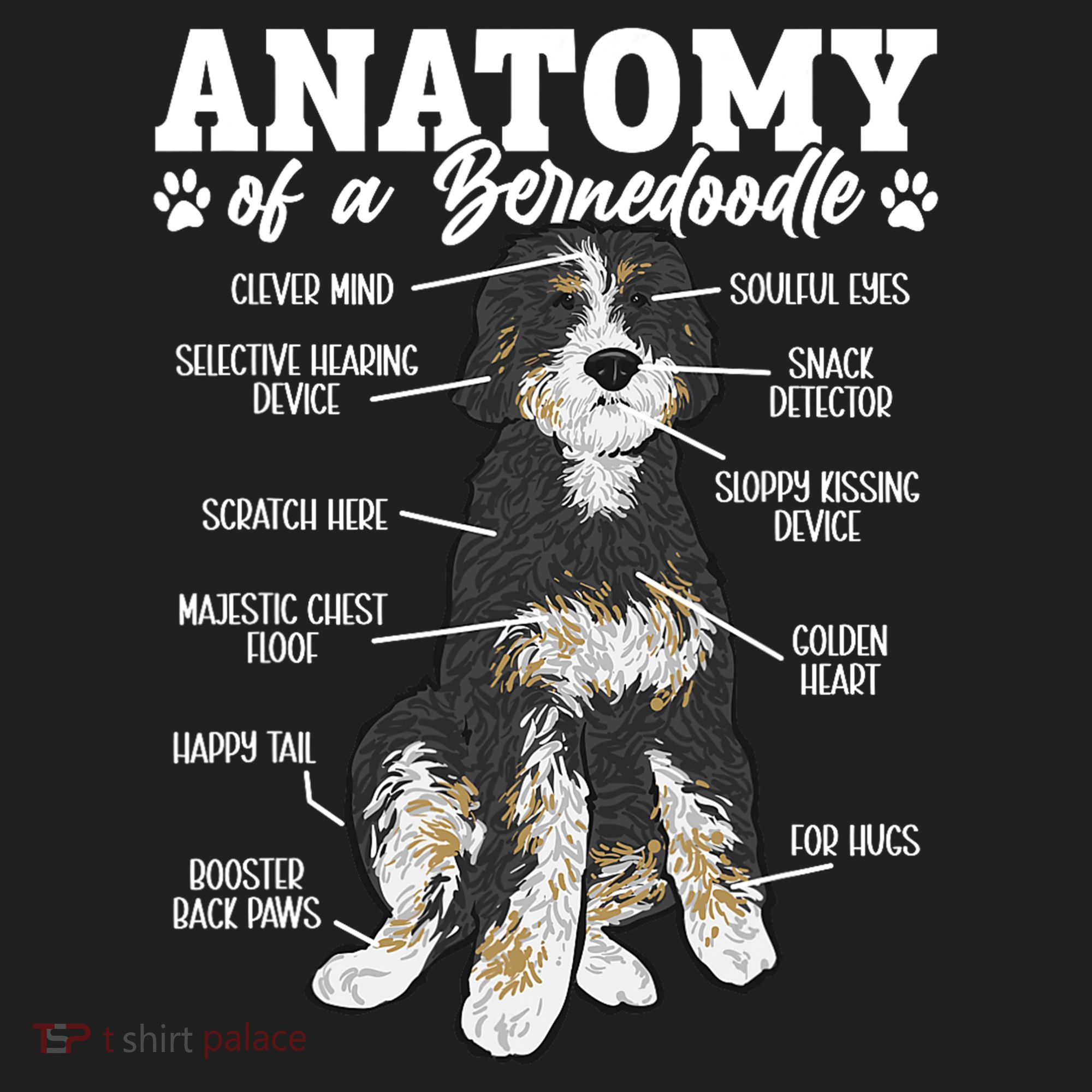 Bernedoodle Dog Anatomy Of A Bernedoodle Beanie