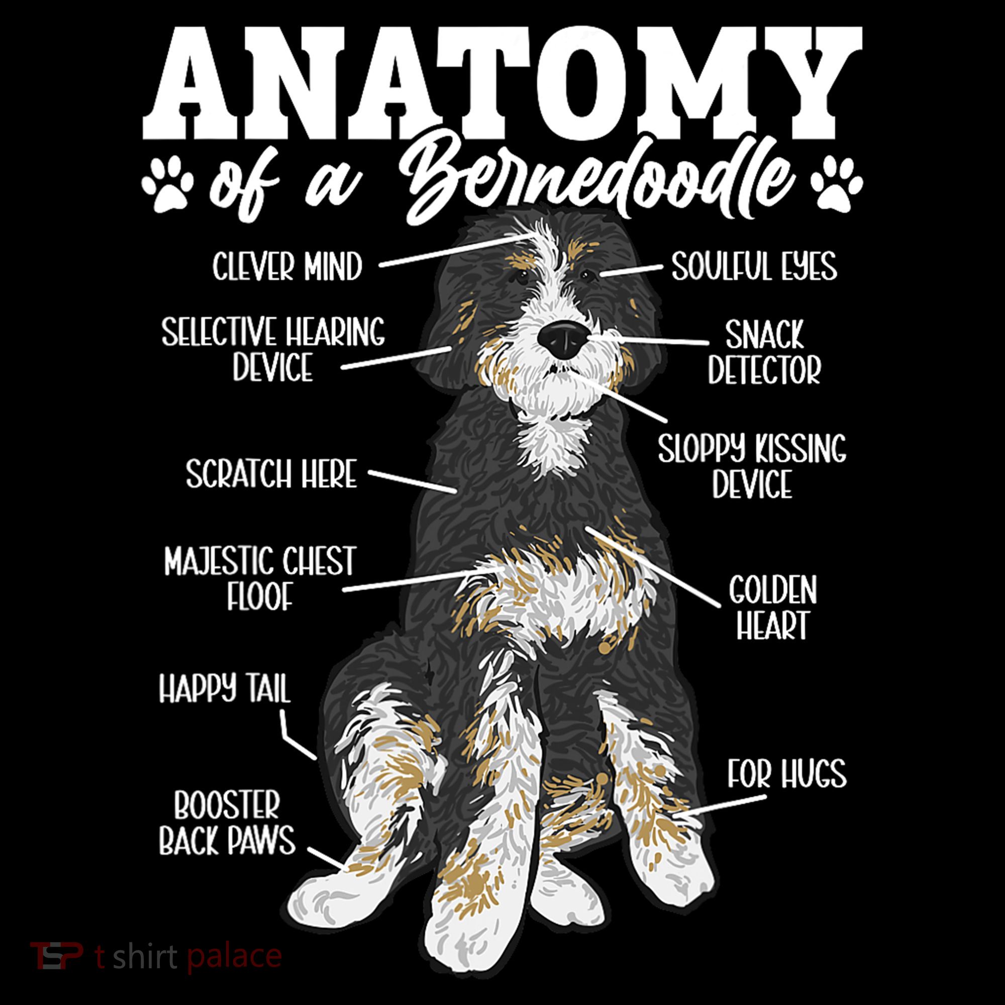 Bernedoodle Dog Anatomy Of A Bernedoodle Women's Hoodie