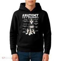 Bernedoodle Dog Anatomy Of A Bernedoodle Kids Hoodie thumb 4