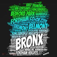 Boogie Down Bronx New York City Pride Map Area Like A Zoo Gift Bucket Hat thumb 4