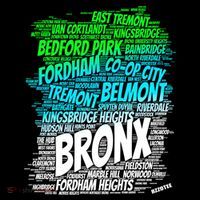 Boogie Down Bronx New York City Pride Map Area Like A Zoo Gift Women's Hoodie thumb 2