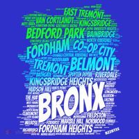 Boogie Down Bronx New York City Pride Map Area Like A Zoo Gift Kids Sweatshirt thumb 2