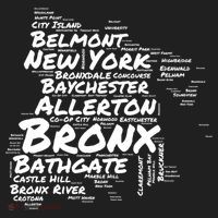 Boogie Down Bronx Neighborhoods Word Cloud Bronx New York Cute Gift Hat thumb 2