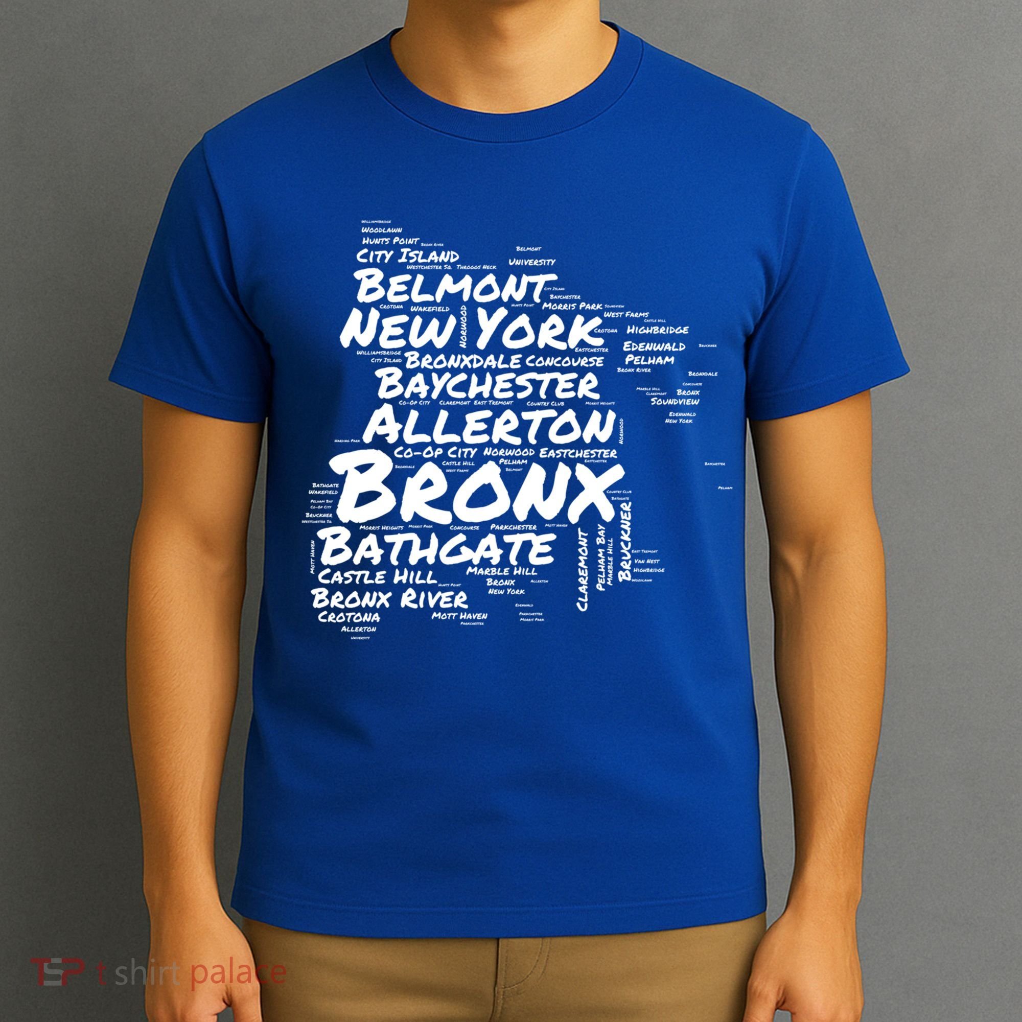Boogie Down Bronx Neighborhoods Word Cloud Bronx New York Cute Gift T-Shirt
