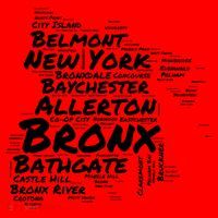 Boogie Down Bronx Neighborhoods Word Cloud Bronx New York Cute Gift Santa Hat thumb 1