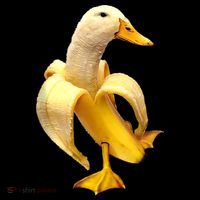Banana Duck Toddler Hoodie thumb 2