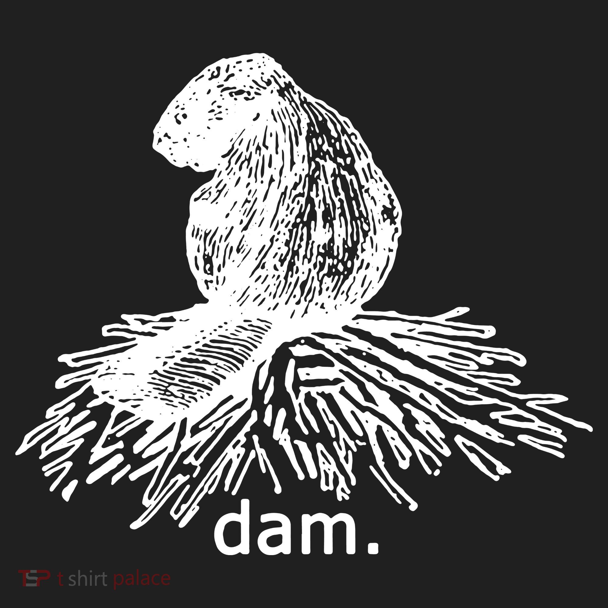 Beaver Dam Tumbler