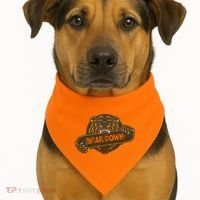 Bear Down Brown Bear USA-Made Doggie Bandana thumb 1