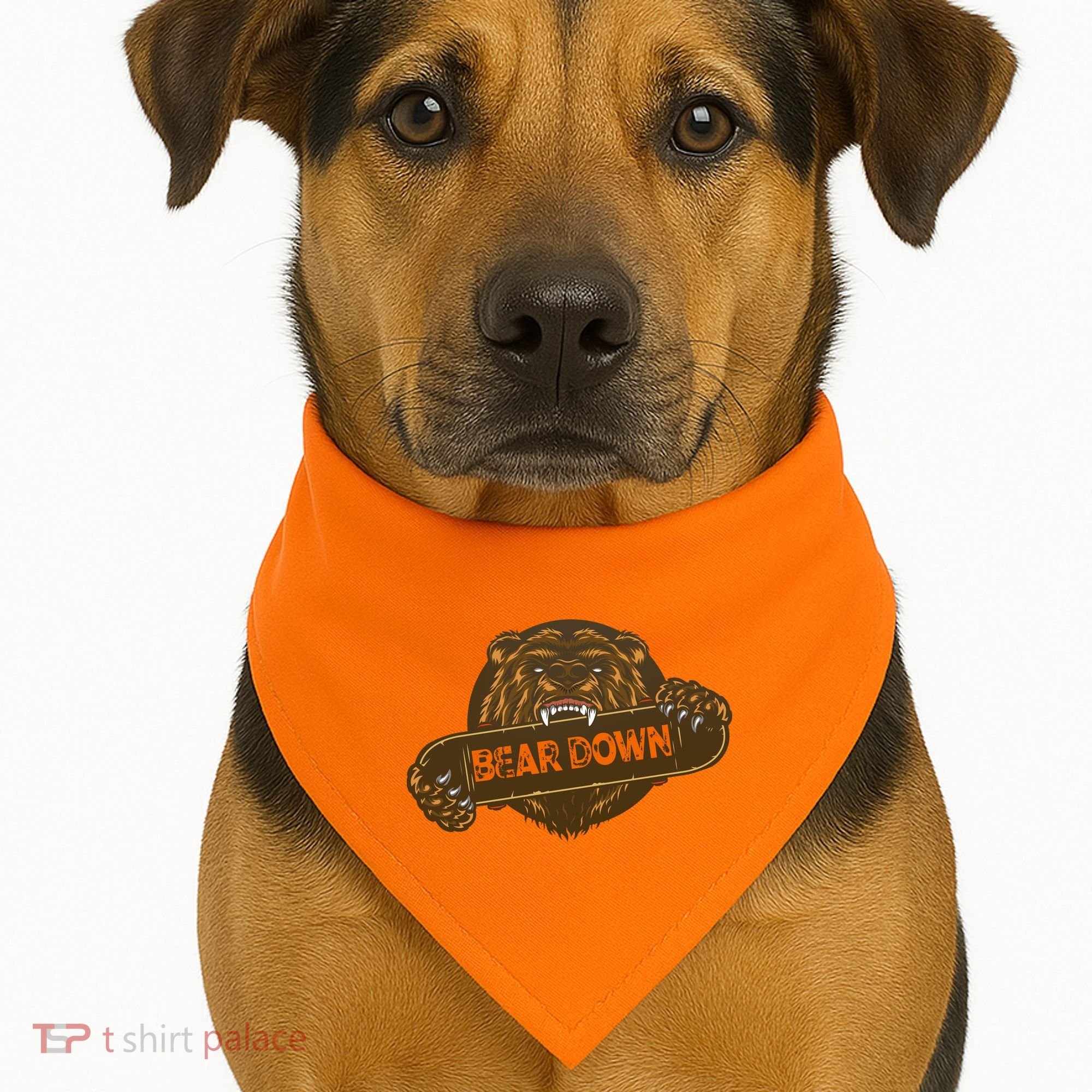 Bear Down Brown Bear USA-Made Doggie Bandana