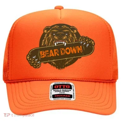 Bear Down Brown Bear Hat