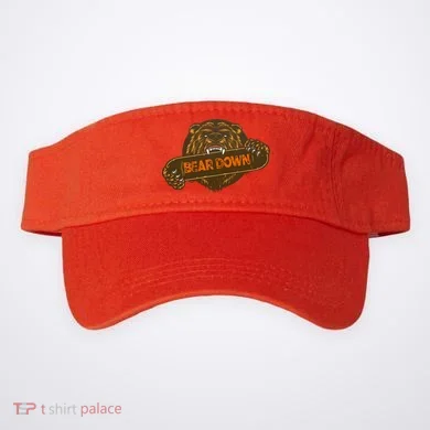 Visor
