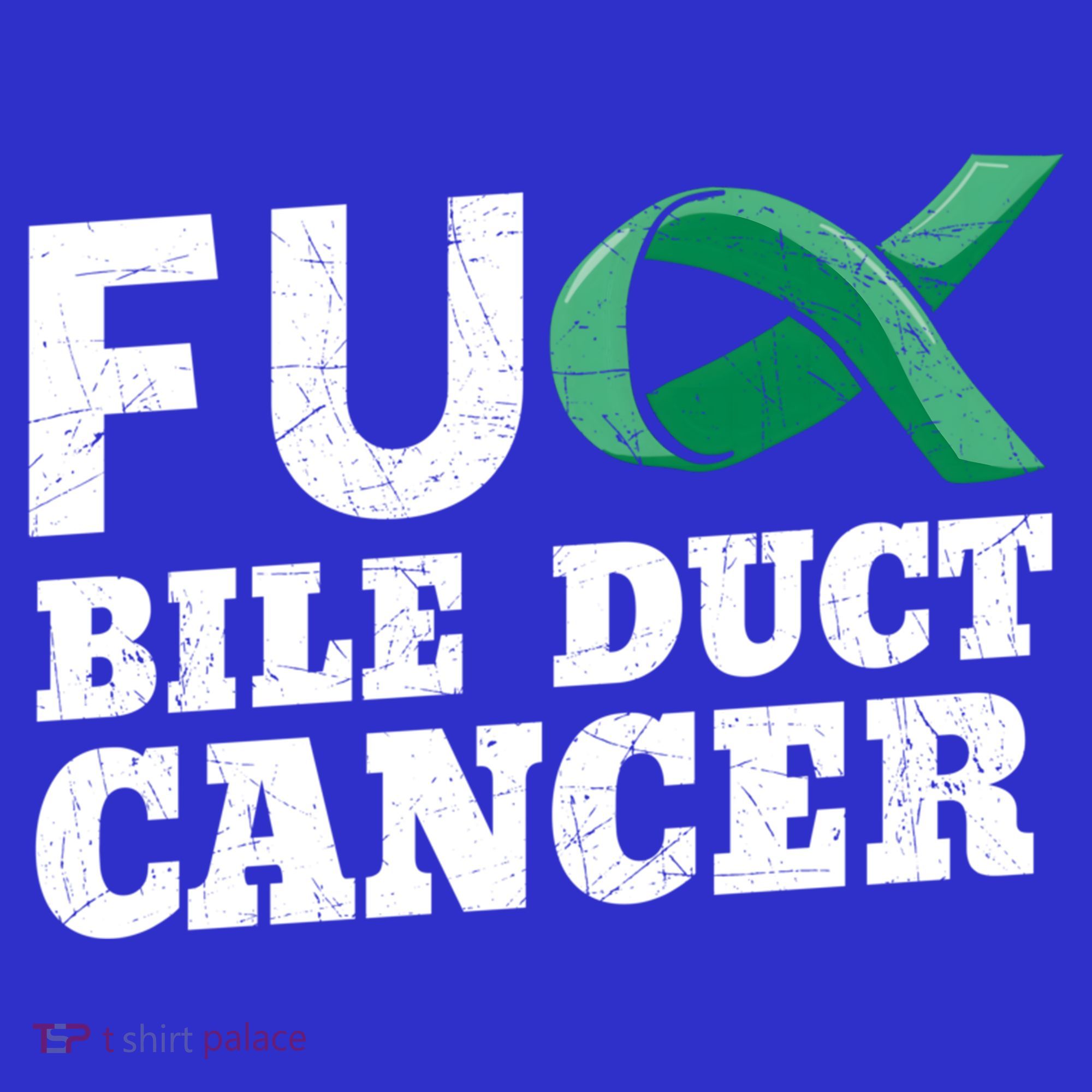 Bile Duct Cancer Awareness Warrior Cholangiocarcinoma Gift Funny Gift Women's Long Sleeve Shirt