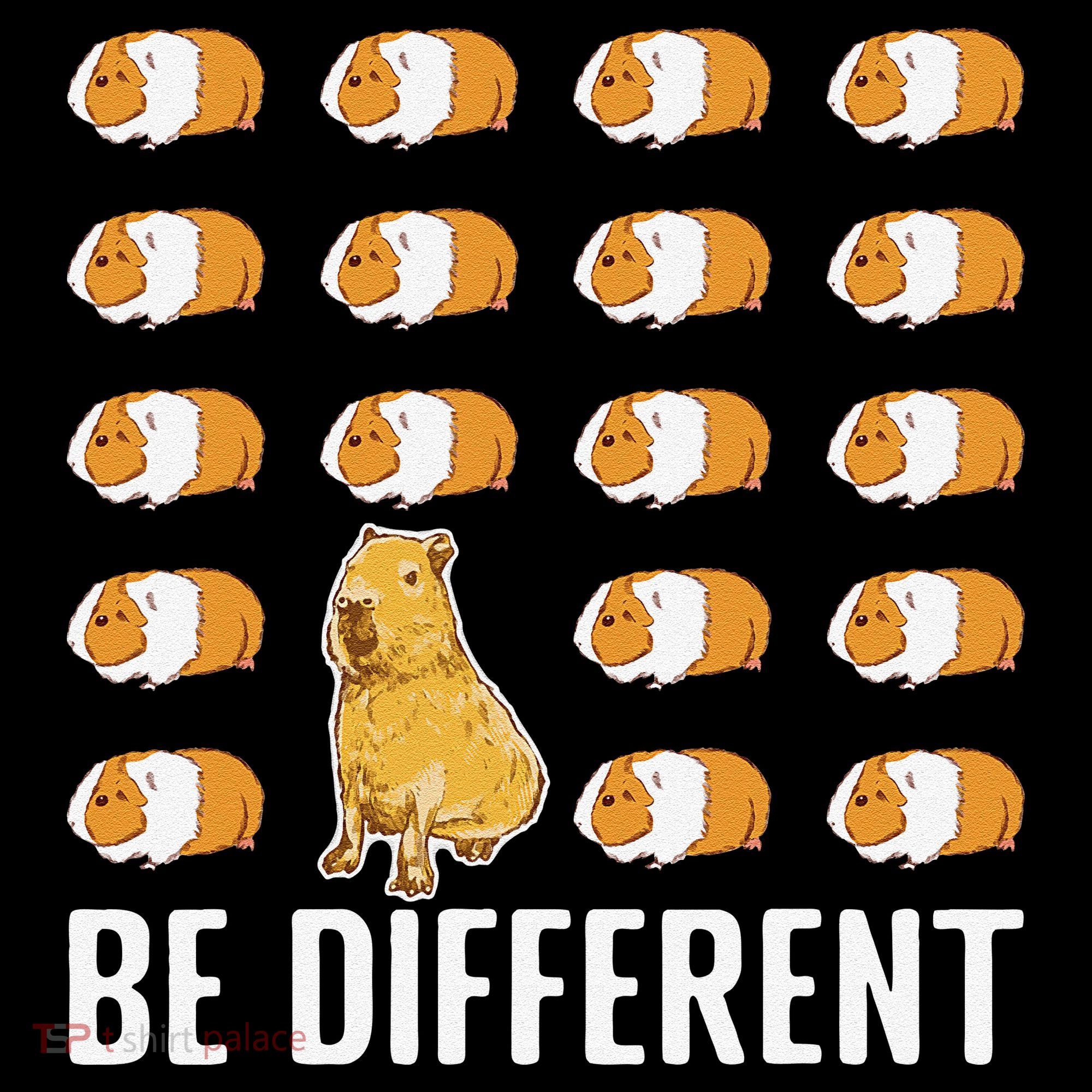 Be Different Capybaras Funny Rodent Capybara Women's Hoodie