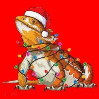 Bearded Dragon Christmas Lights Bearded Dragon Lover Xmas Santa Hat thumb 1