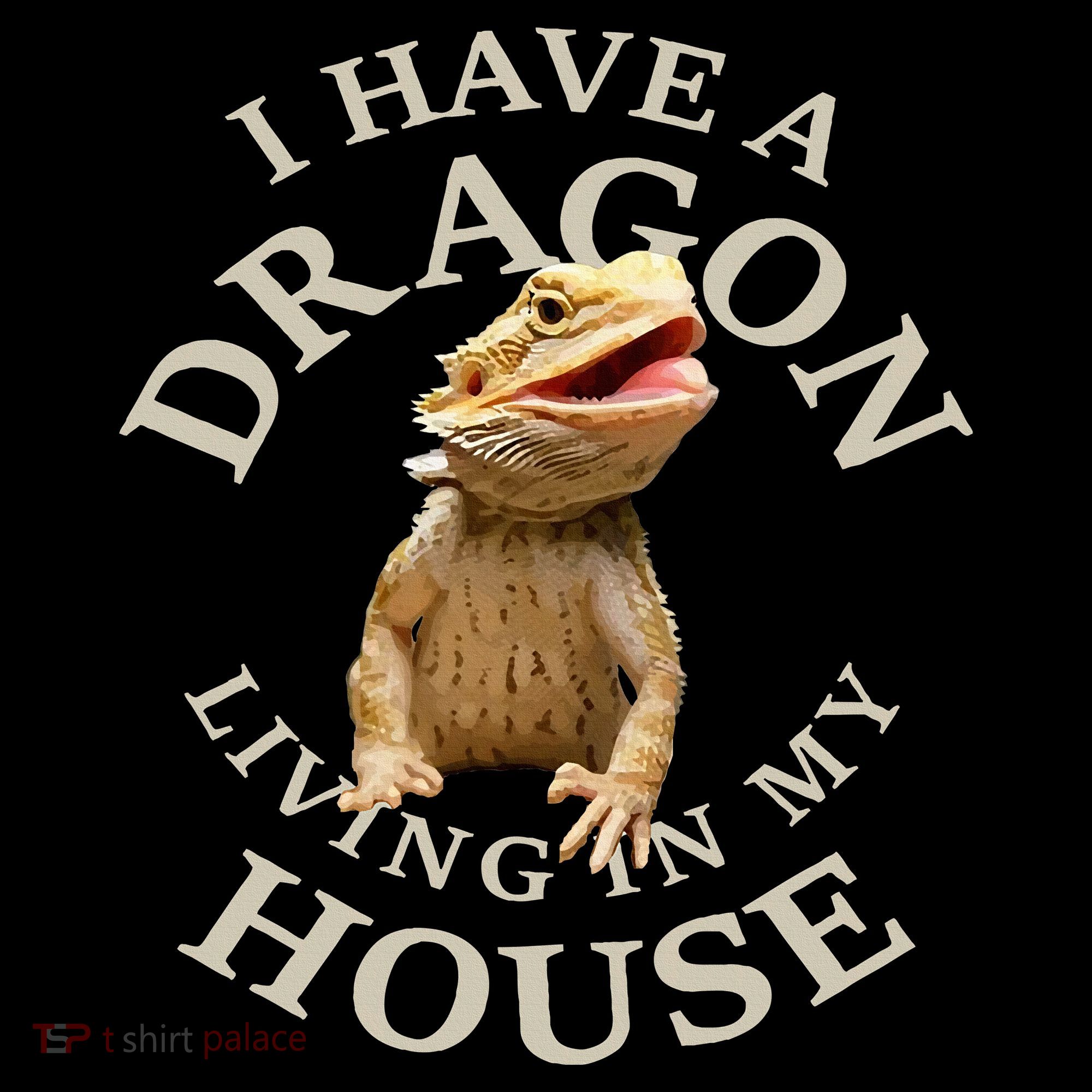 Bearded Dragon Clothes Pogona Barbata Lizard Ornament