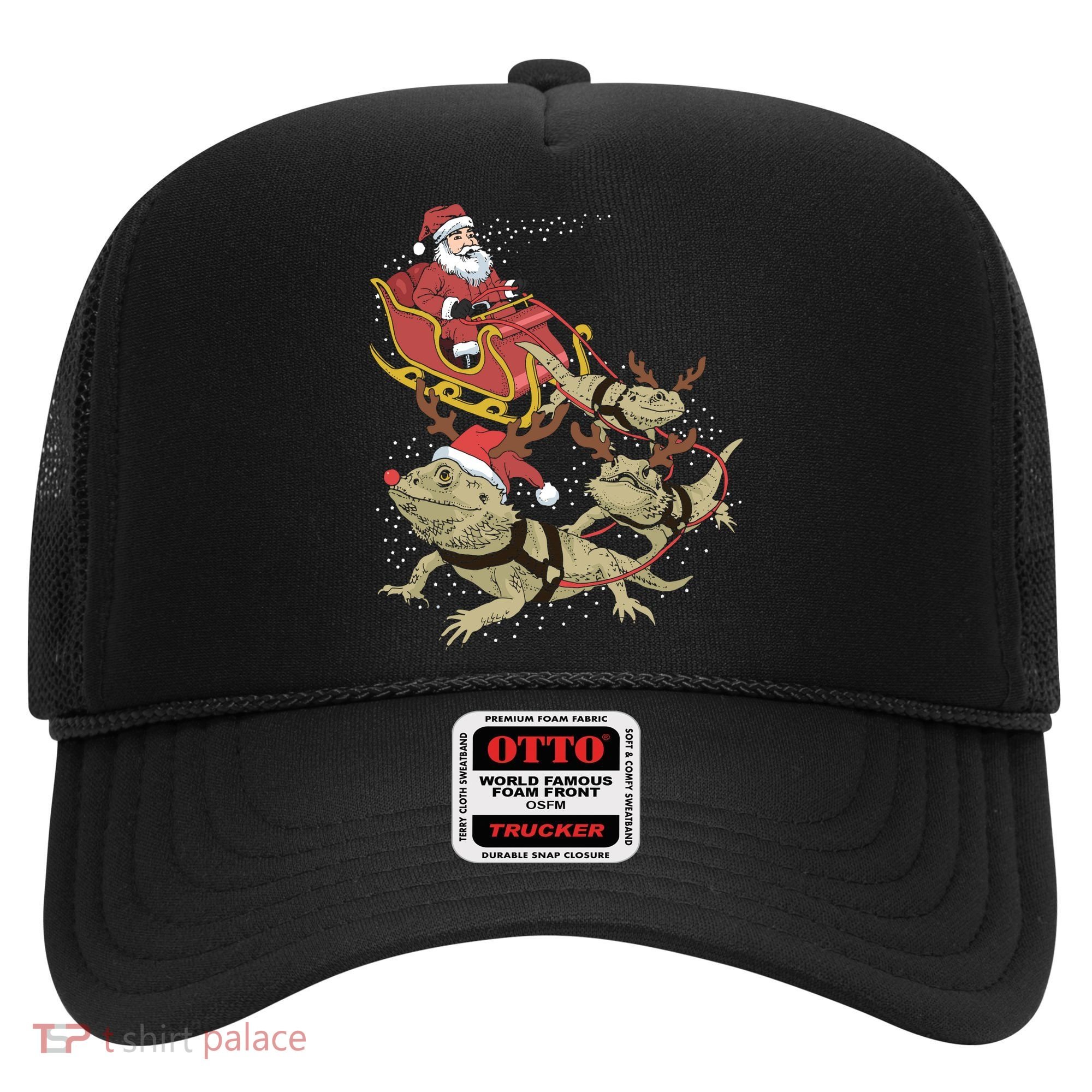 Bearded Dragon Christmas Hat