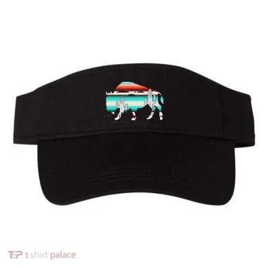 Visor