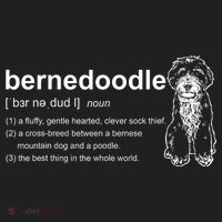 Bernedoodle Dog Definition Bernedoodle Beanie thumb 2