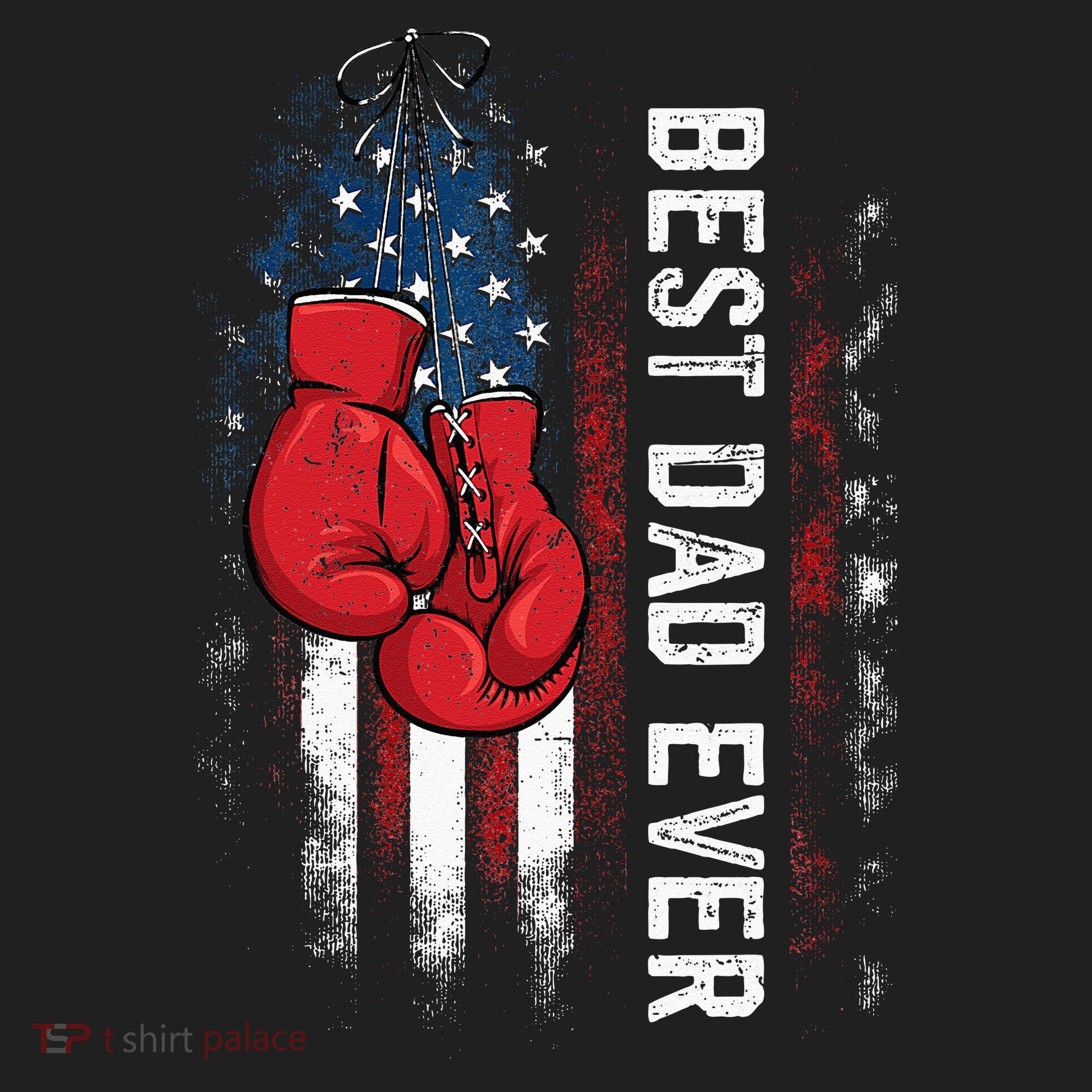 Best Dad Ever Boxing Gloves Fathers Day Boxers Flag USA Him Hat
