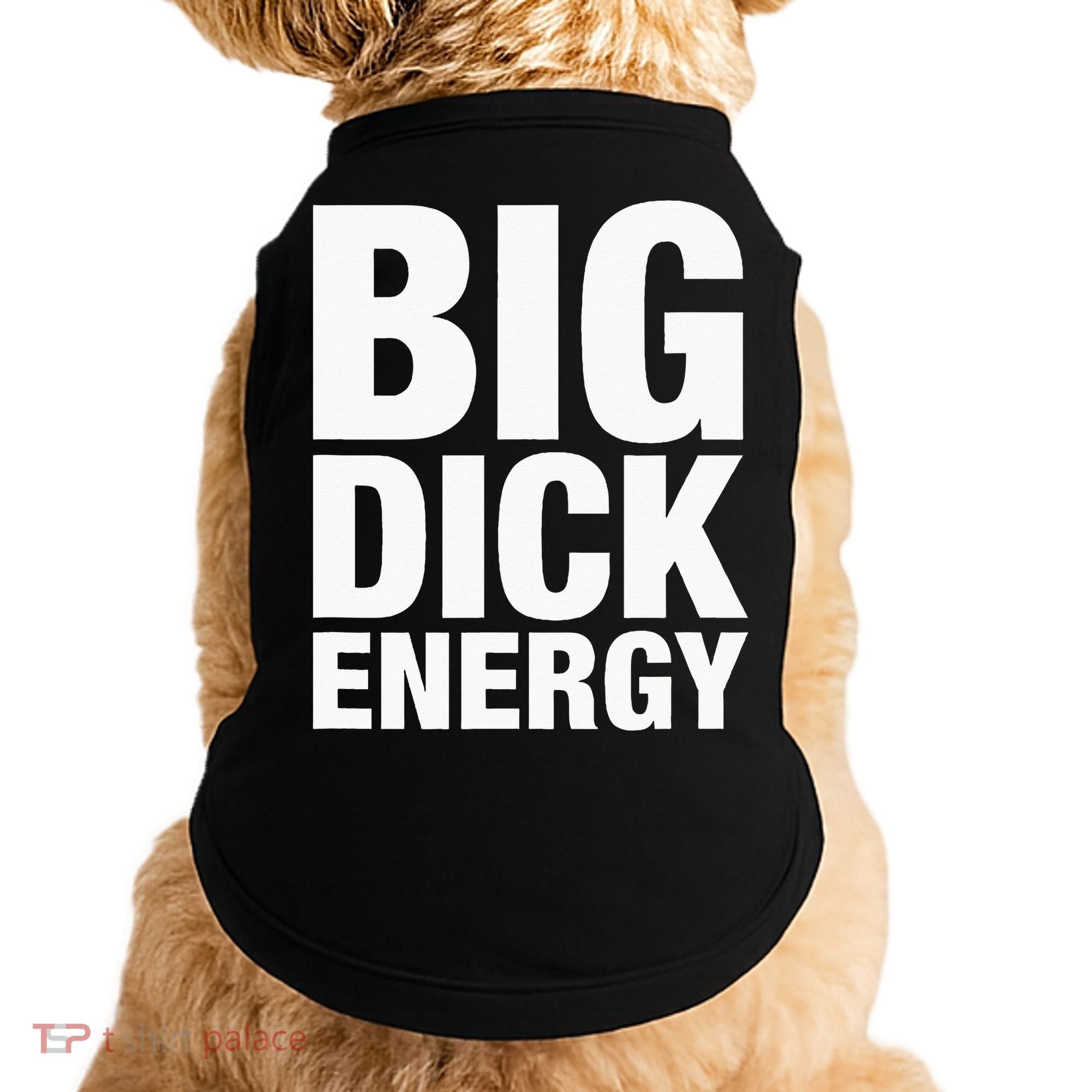 Big Dick Energy BDE Adult Humor Meme Workout Ego Flex Bro Doggie Tank