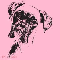 BOXER DOG FACE DOG LOVERS BOXER DOG GIFT Coaster thumb 2