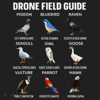 Birds Drone Field Guide They Aren’T Real Hat thumb 2
