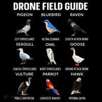 Birds Drone Field Guide They Aren’T Real Women's T-Shirt thumb 6