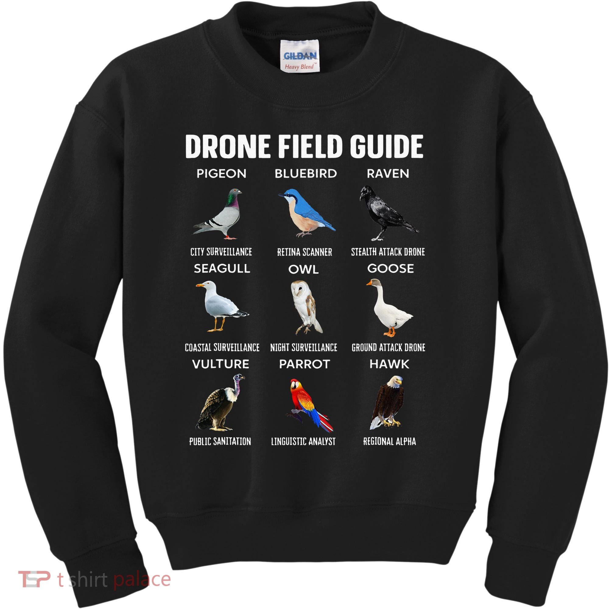 Birds Drone Field Guide They Aren’T Real Kids Sweatshirt