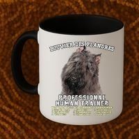Bouvier Des Flandres Professional Human Trainer Cute Dog Coffee Mug thumb 2