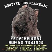 Bouvier Des Flandres Professional Human Trainer Cute Dog Beanie thumb 2