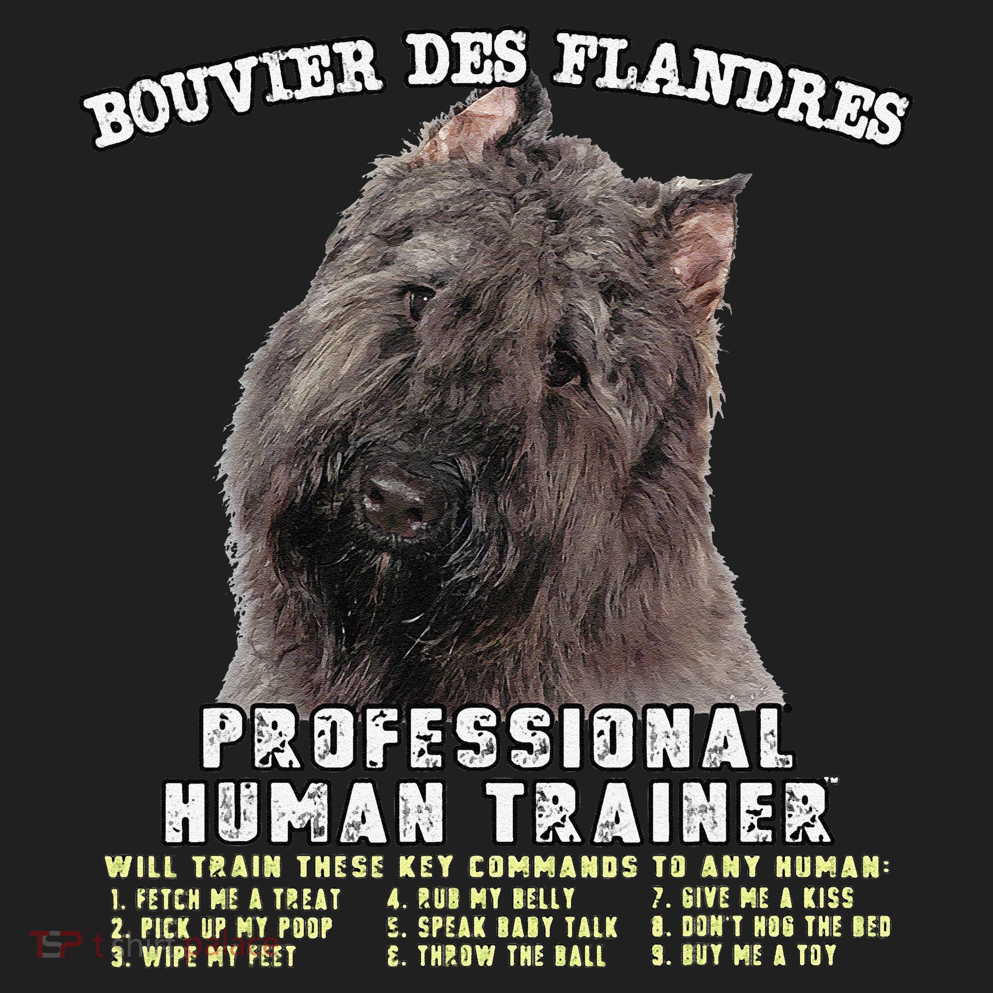 Bouvier Des Flandres Professional Human Trainer Cute Dog Hat