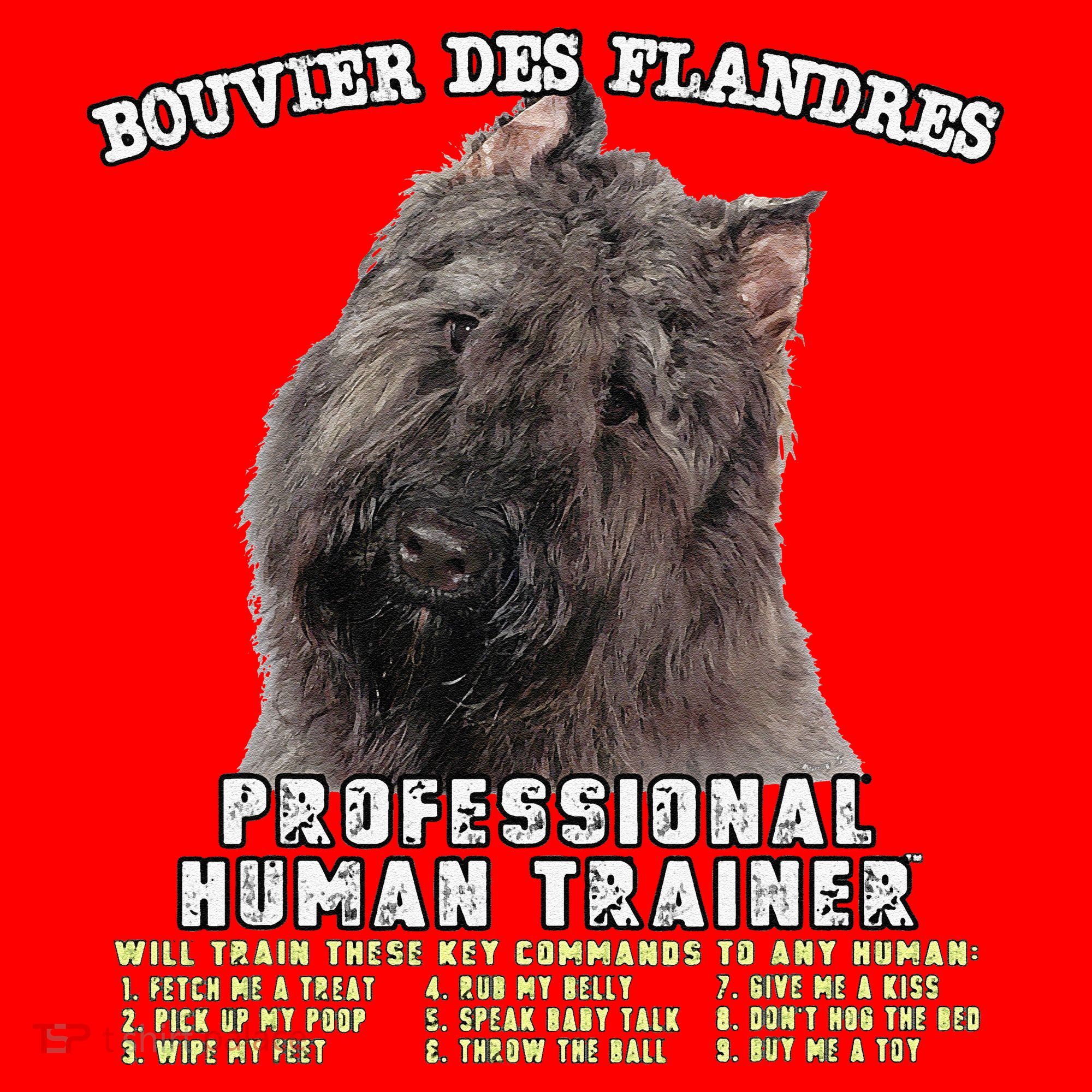 Bouvier Des Flandres Professional Human Trainer Cute Dog Santa Hat