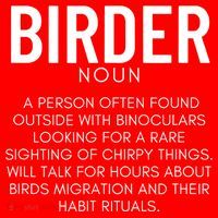 Birder Definition Funny Bird Watching Santa Hat thumb 1