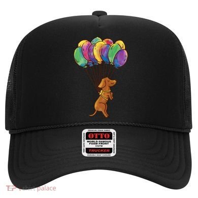 Balloon Dog Flying Hat