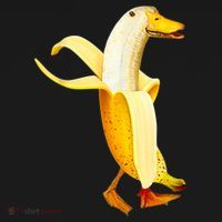 Banana Duck. Funny Anthropomorphic Fruit Animals Sweatshirt thumb 3