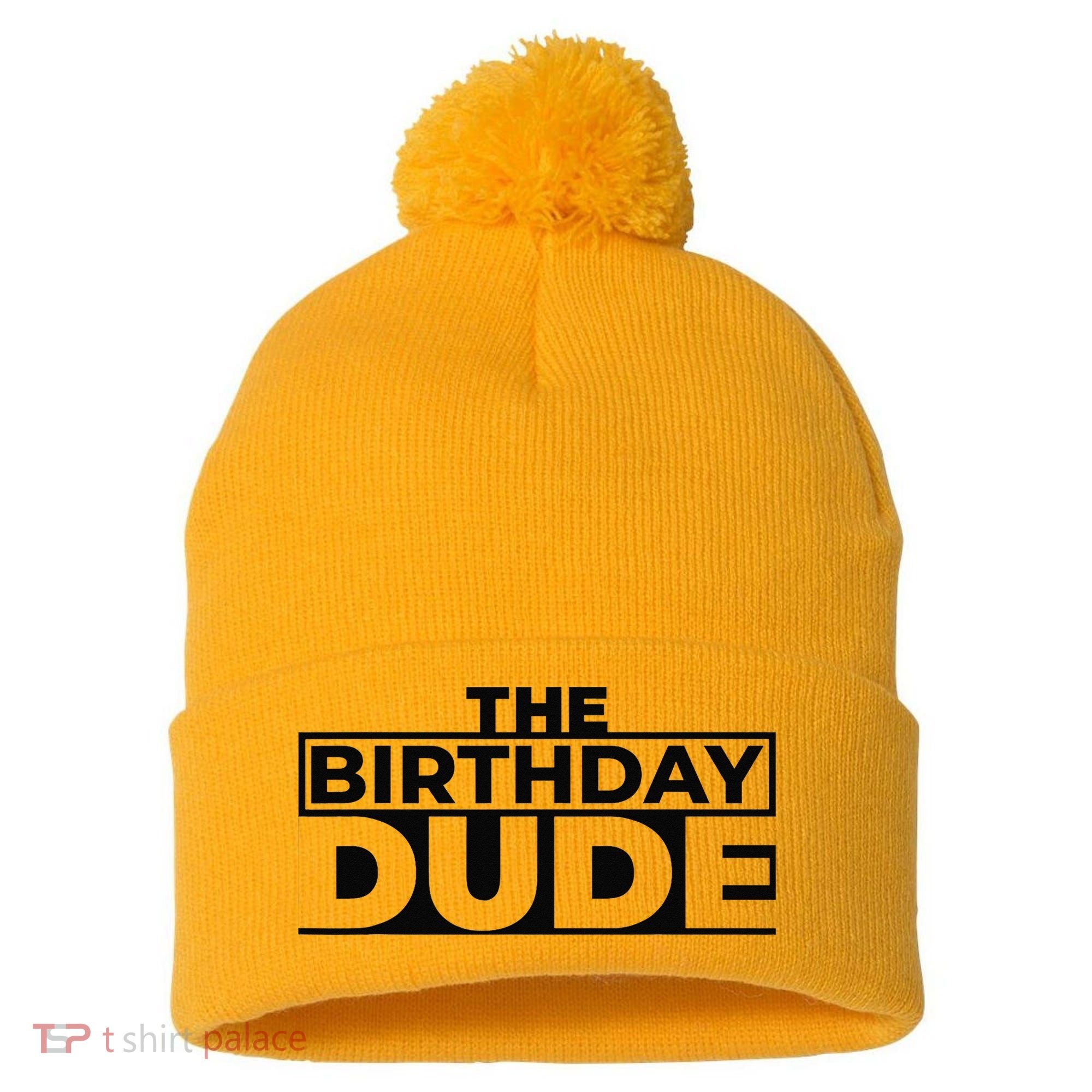 Birthday Dude Graphic Novelty Pom Pom 12in Knit Beanie