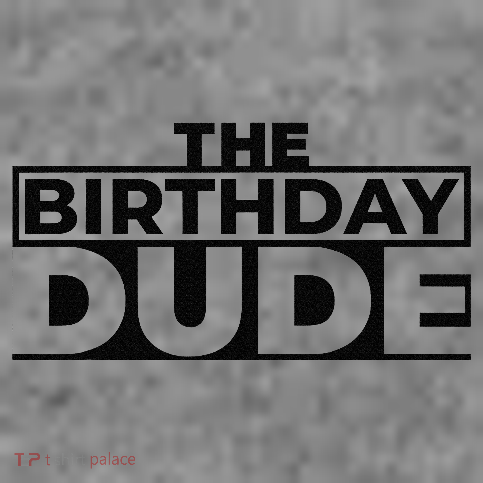 Birthday Dude Graphic Novelty Toddler Hoodie