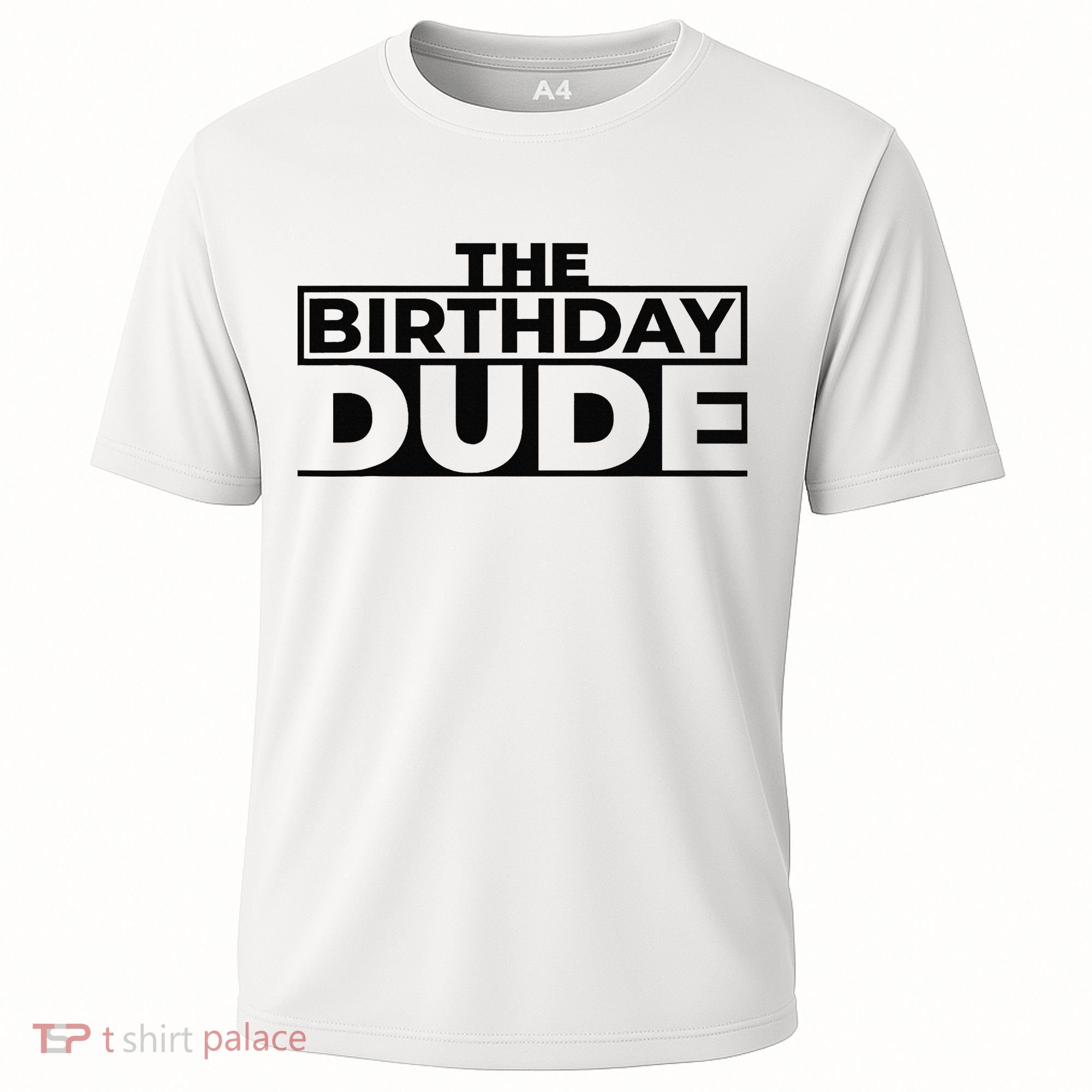 Birthday Dude Graphic Novelty Cooling Performance Crew T-Shirt