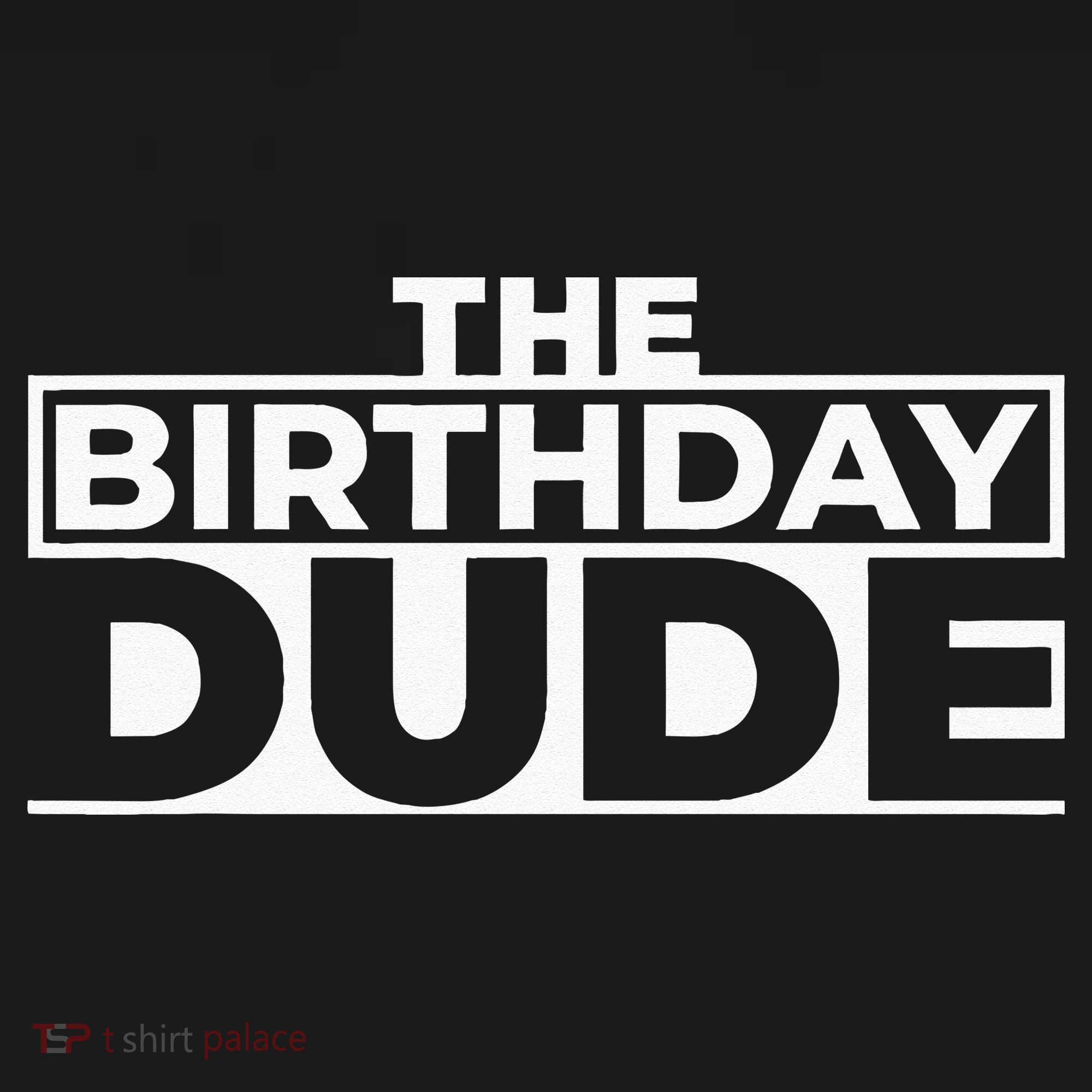 Birthday Dude Graphic Novelty Kids Sweatshirt