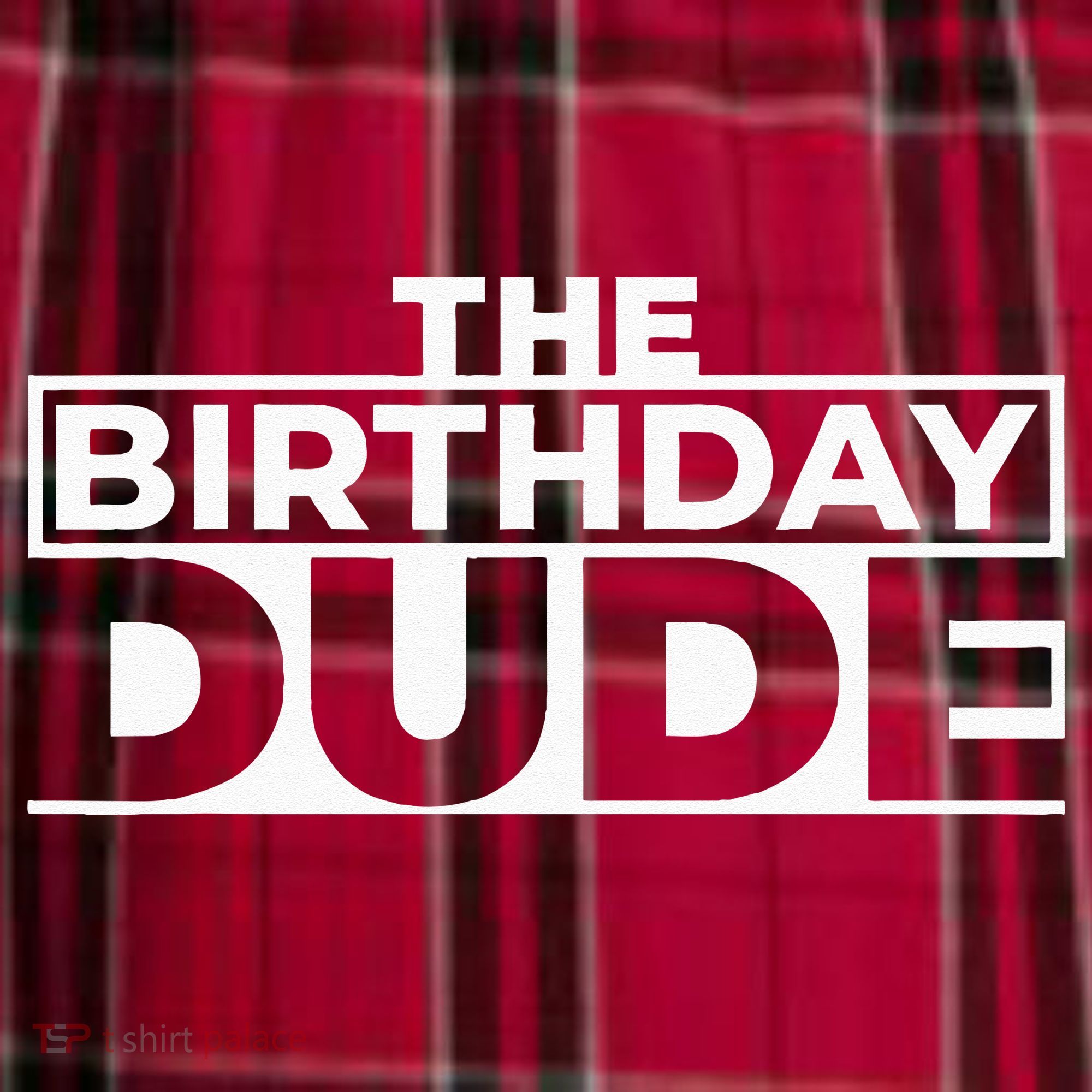 Birthday Dude Graphic Novelty Men's Flannel Plaid Pajama Pants