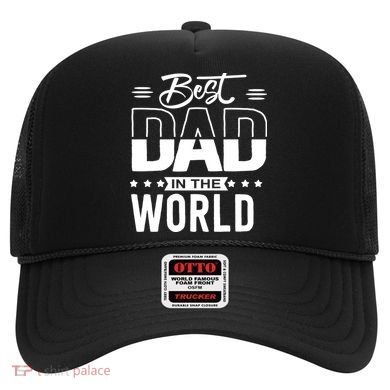 Best Dad In The World Cute Gift Hat