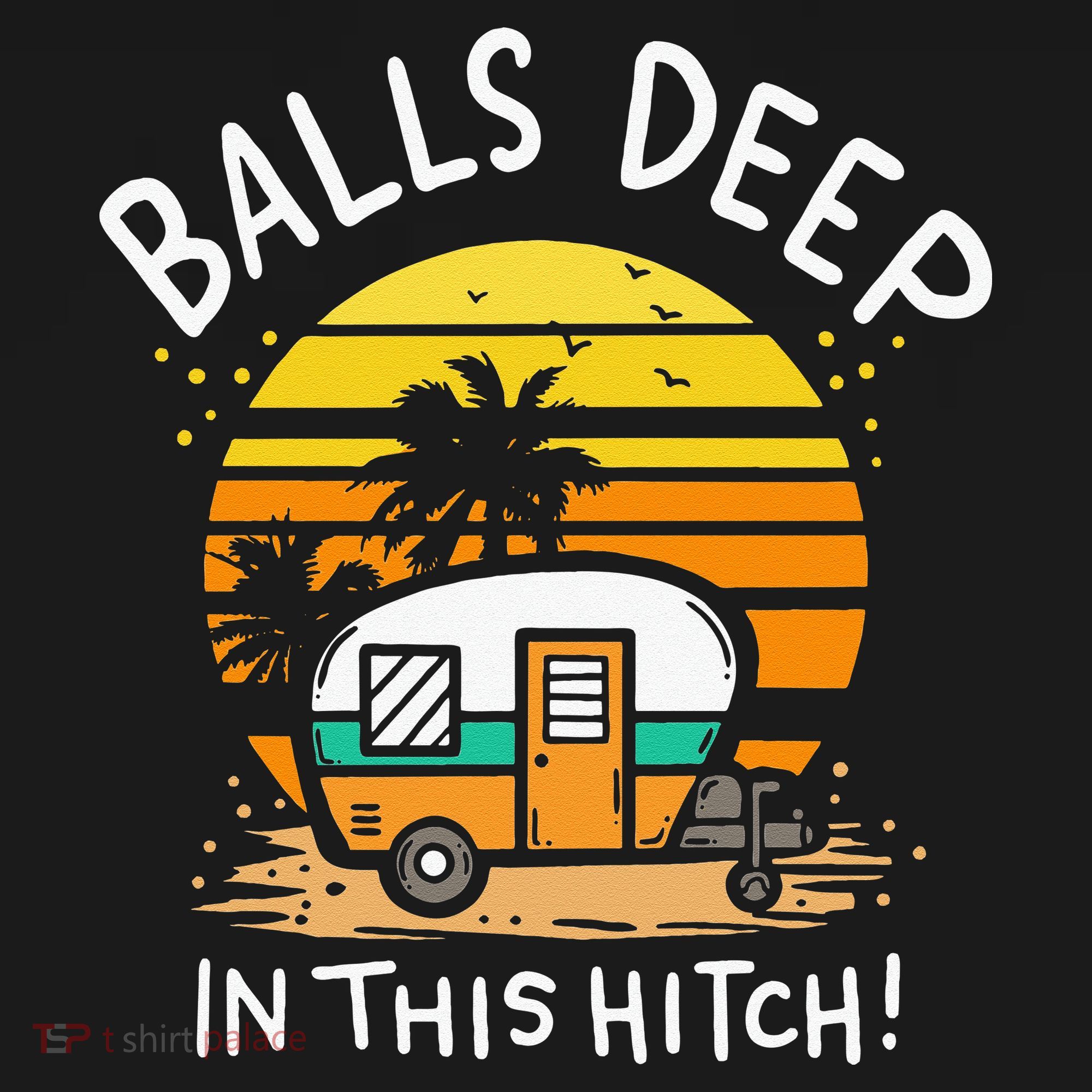 Balls Deep In This Hitch RV Camper Holiday Funny Camping T-Shirt
