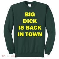 Big Dick Is Back In Town Sweatshirt thumb 0