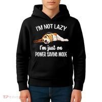 Beagle Dog Lover Tee Funny Beagle Kids Hoodie thumb 4