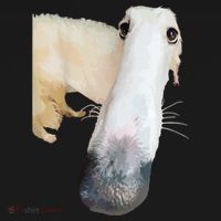 Borzoi Dog Meme Funny Long Nose Borzoi Russian Sighthound Women's Hoodie thumb 2