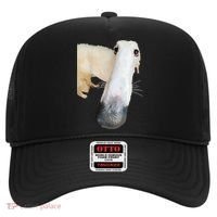 Borzoi Dog Meme Funny Long Nose Borzoi Russian Sighthound Hat thumb 0