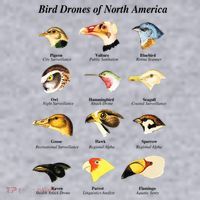 Bird Drones Of North America Women's Sweatshirt thumb 2