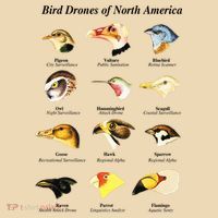 Bird Drones Of North America Tote Bag thumb 4