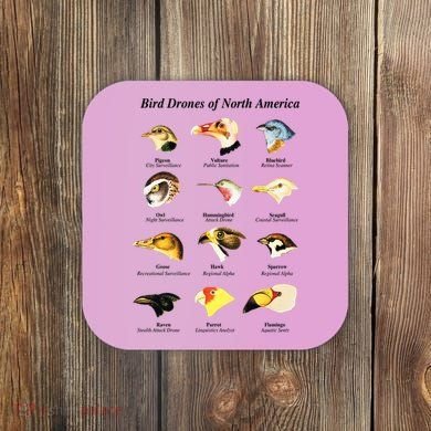 Bird Drones Of North America Coaster